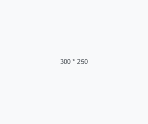 Dummy Image 300X250-220KB