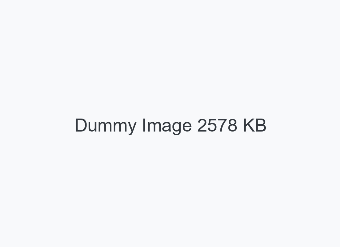 Dummy Image 1100X800-2578KB
