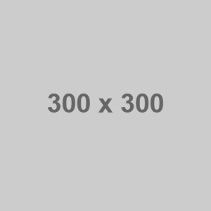 300x300 dummy image